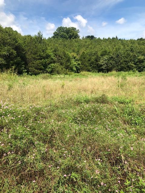 14355 US Highway 127 N, Frankfort, KY 40601
